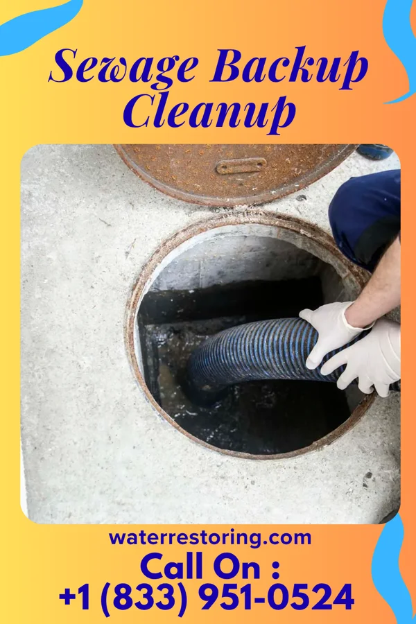Sewage Backup Cleanup in Geuda Springs, KS